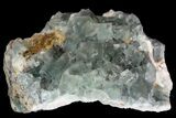 Sea-foam Green, Cubic Fluorite Crystal Cluster - Morocco #138254-2